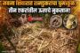 मातंग समाजाचा विविध मागण्यांसाठी आक्रोश मोर्चा संपन्न