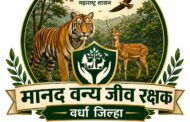 वर्ध्याच्या वन्यजीव संवर्धनाला नवे बळ; प्रथमच तीन मानद वन्यजीव रक्षकांची नियुक्ती, युवा नेतृत्वावर शासनाचा विश्वास!